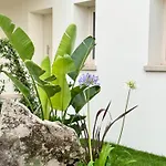 Berenike Vendégház San Teodoro